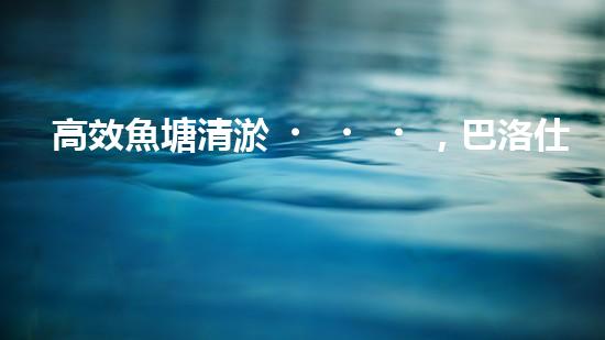 高效魚塘清淤，巴洛仕設備助力生態(tài)養(yǎng)殖